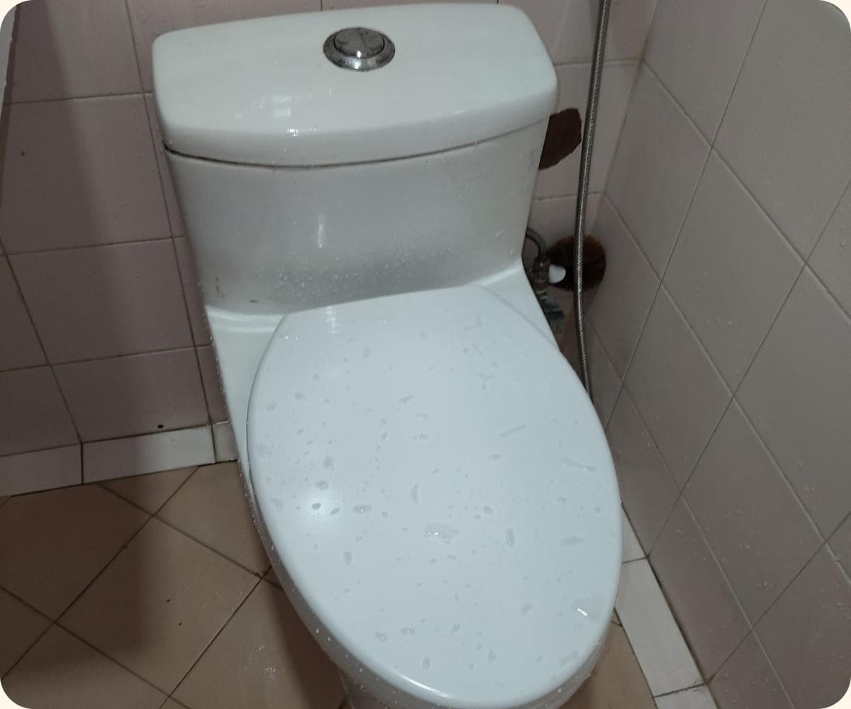 Newly installed toilet suite
