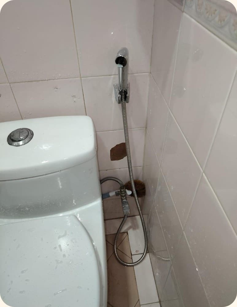 Toilet fitted with a bidet spray